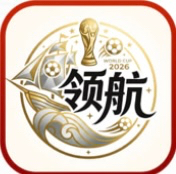 领航国际